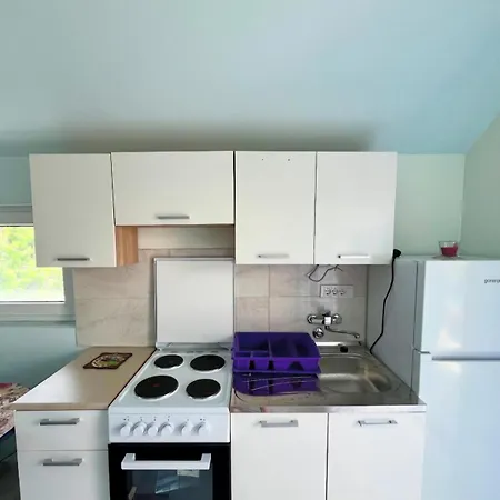 Sara Banja Vrujci Apartment